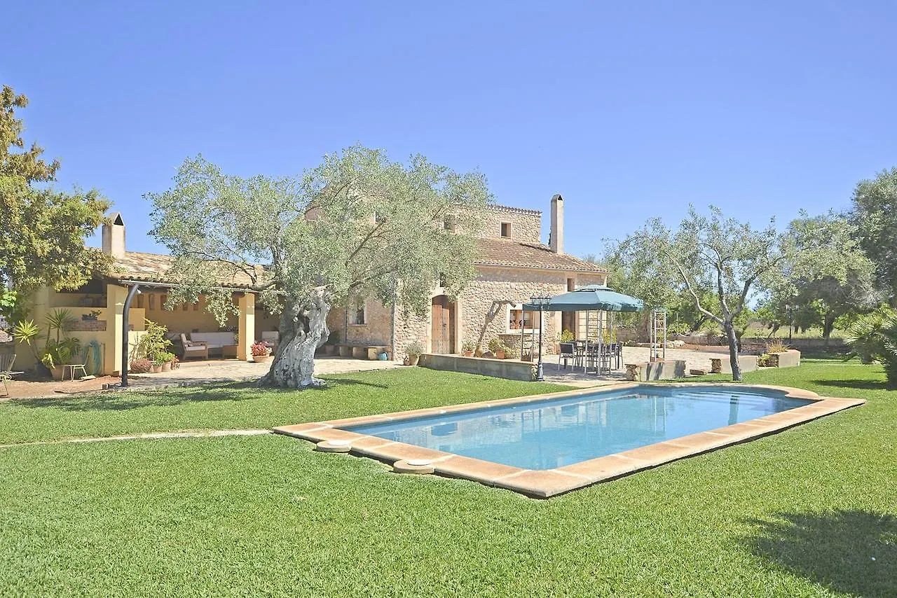 Villa Carratxet Búger 0*,  España