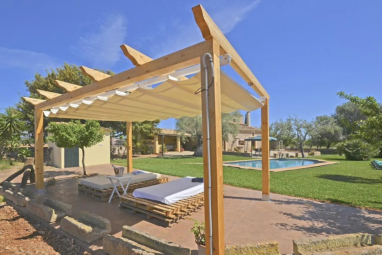 Villa Carratxet Buger