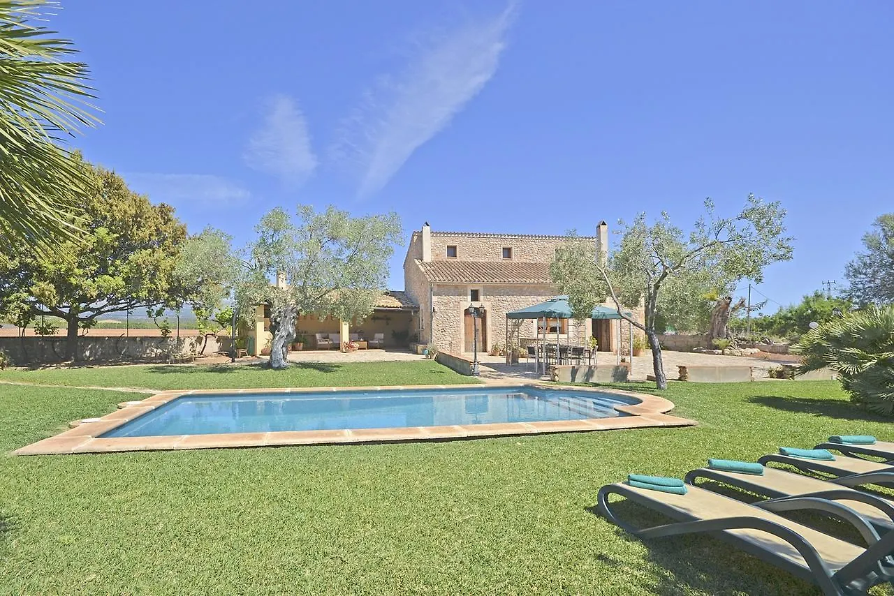 Villa Carratxet Buger