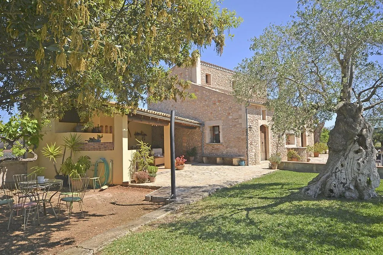 Villa Carratxet Buger